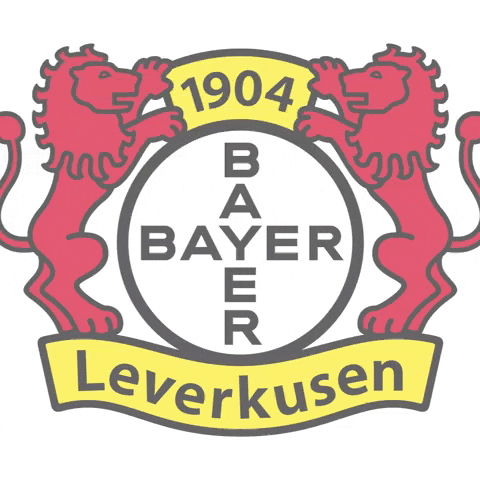 Bayer 04 Soccer GIF by Bayer 04 Leverkusen