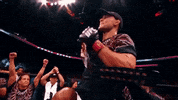 Frankie Edgar Sport GIF by UFC