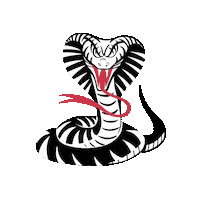 Staring Disney Movie Sticker by Disney Channel