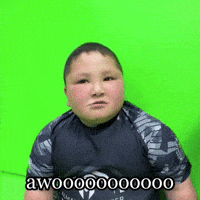 Panda Wolf GIF