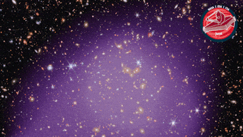 X-Ray X GIF by ESA Webb Space Telescope