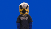 Happy Cheer GIF by Heartland Community College