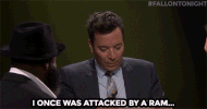jimmy fallon lol GIF by The Tonight Show Starring Jimmy Fallon