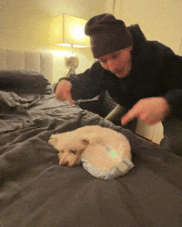 Diaper Old Dog GIF by Respective