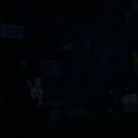 Mojang GIF by Minecraft