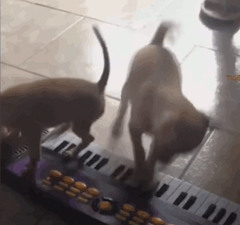 lax7jacob giphyupload GIF