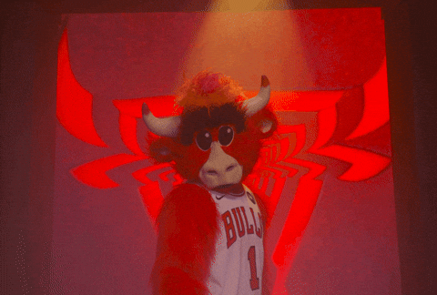 Benny The Bull Kiss GIF by Chicago Bulls