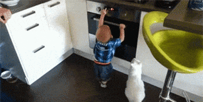 hooman GIF