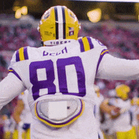 High Five Lsu Football GIF by LSU Tigers