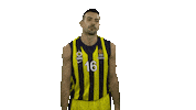 basketball Sticker by EuroLeague