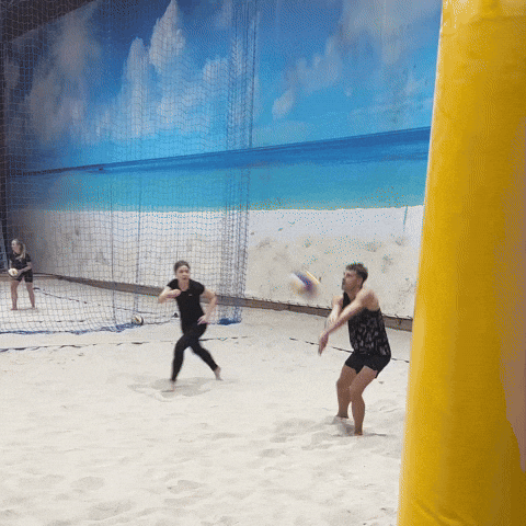 dombrauskis  GIF