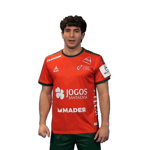 Celebrating Sticker by Federação de Andebol de Portugal
