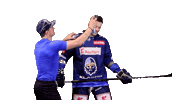 Hokej Sticker by Rytíři Kladno