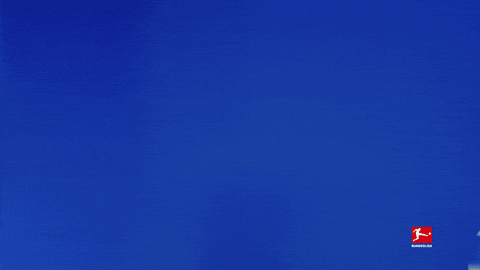Tsg Hoffenheim Football GIF by Bundesliga