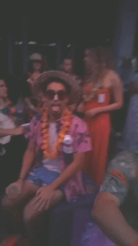 irlcam GIF by wildKitty
