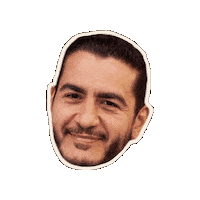 abdulforsenate abdul abdulelsayed abdulforsenate abdul el sayed Sticker