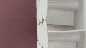 Kickstarter GIF by Version 22