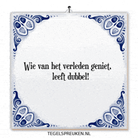Humor Nl GIF by Tegelspreuken.nl