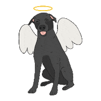 Black Dog Dogs Sticker