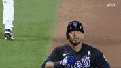 Home Run Celebration GIF by SNY