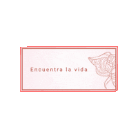 serendipitylife_mx  Sticker
