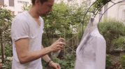 the orchard GIF by Dior and I