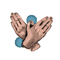 Drawing Bird Sticker by Ansheles