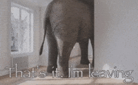 Leaving GIF