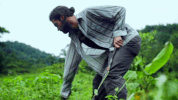 viceland GIF by JUNGLETOWN