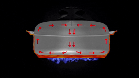 Caricodrvelazquez giphygifmaker cocina nutricion hogar GIF