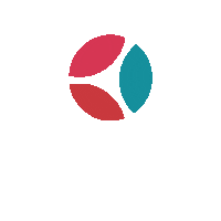 ParadigmaEstudio estudio paradigma paradigmaestudio Sticker