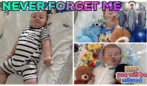 alfie evens GIF