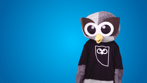 i dont know who knows GIF by Hootsuite