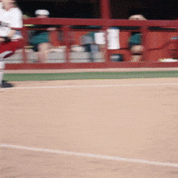 tag softball GIF by gamecocksonline