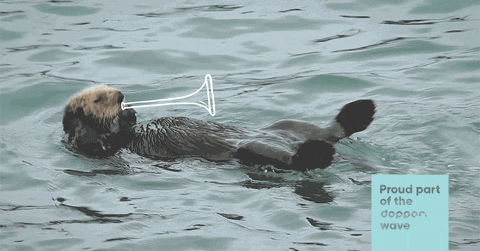 Otter Oceans GIF by Dopper