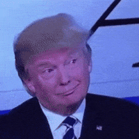 Shocked President Trump GIF by Respective