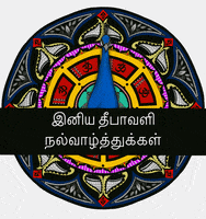 Rainbow Festival GIF