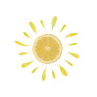 limon limonata Sticker by Fanta Türkiye