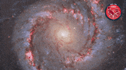 Spin Nasa GIF by ESA/Hubble Space Telescope