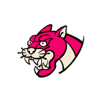 Cat Pink Sticker