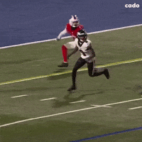 Buffalo Bills Nfl GIF
