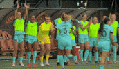 Clap GIF by National Women's Soccer League