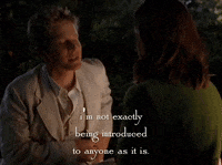 season 5 netflix GIF by Gilmore Girls 