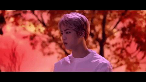 Bangtan Boys Jin GIF
