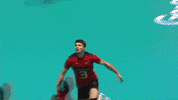 GIF by Volleyball World
