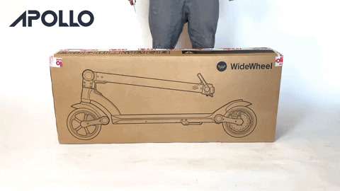 maciekpiskorz giphyupload GIF