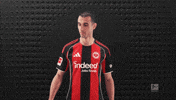 Eintracht Frankfurt Football GIF by Bundesliga