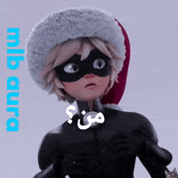 Ladybug Catnoir GIF