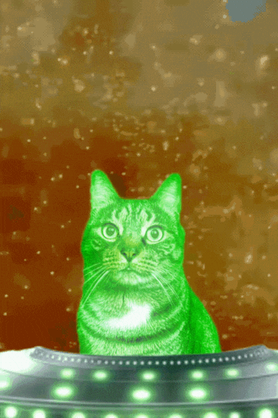 Space Cat GIF by Furrend