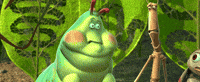 a bug's life kids GIF by Disney Pixar